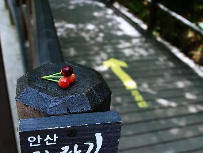 아파트 Waterfall- 연희 홍대 10분 신촌 3베드 6인